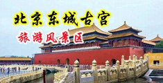 鸡巴插老屄视频中国北京-东城古宫旅游风景区